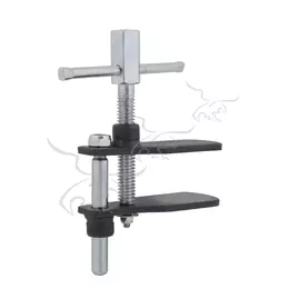 Mordaza pistones frenos delanteros