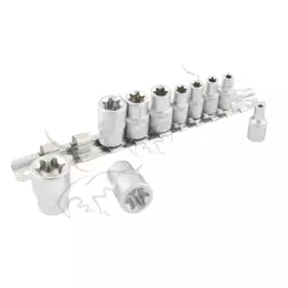 Vasos Torx hembra tipo e 1/4" y 3/8" - 10 PZS