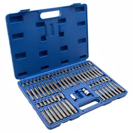 Juego de puntas Allen Hex, Torx, XZN y Ribe de 10 mm. 75 Piezas