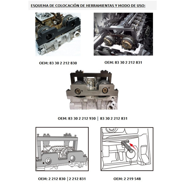 Calado de distribuciones BMW N20 y N26 - 1.6 y 2.0. 4 cilindros